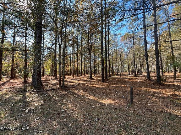 2nd image of 21 N Berne Landing Road