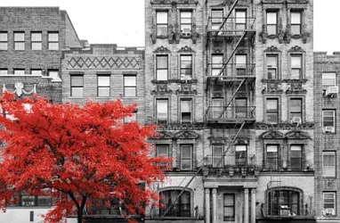 Rented by Living New York