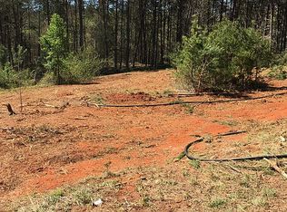 Big Island Rd, Rutherfordton, NC 28139