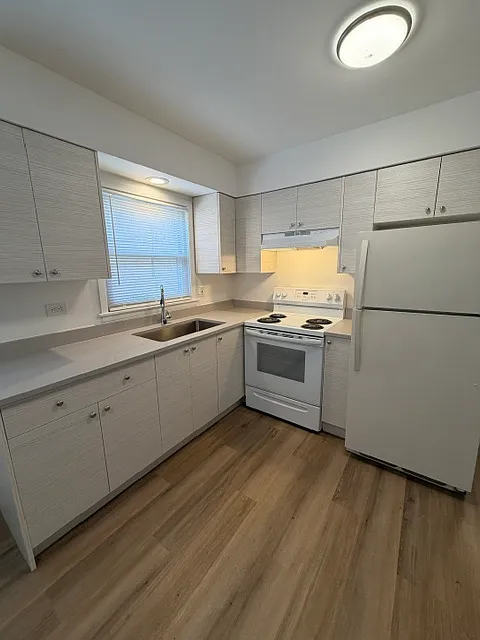 1 bed, 800 sqft, $1,450 — Photo 3