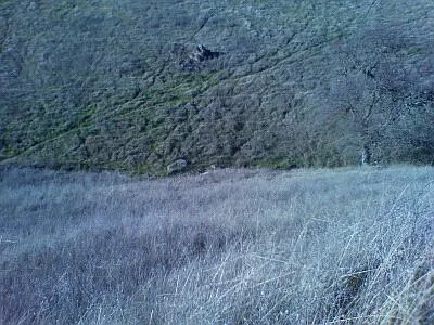 5892 Gilbert Rd photo 1