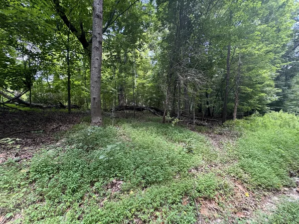 0 Old Stage Rd, Dickson, TN 37055