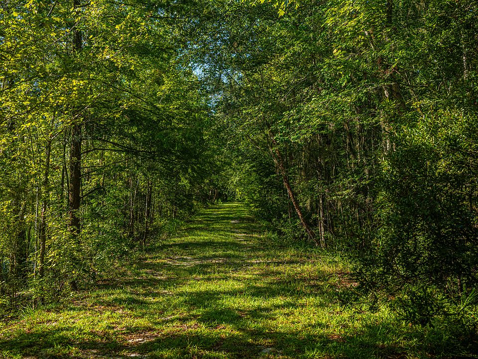 139th image of this home