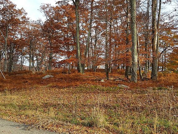 Another view from the road