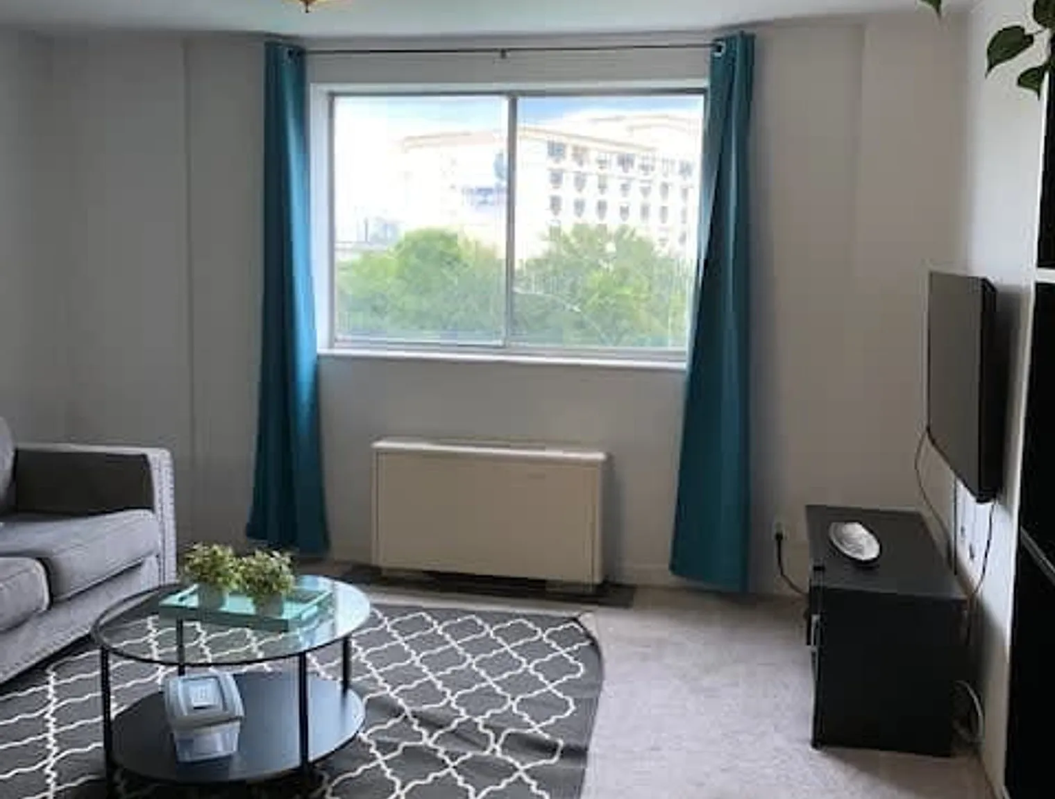 1 bed, 1.0 bath, 699 sqft, $1,560 — Photo 4