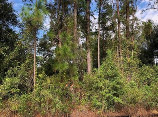 1004 Garland Ave, Sebring, FL 33875