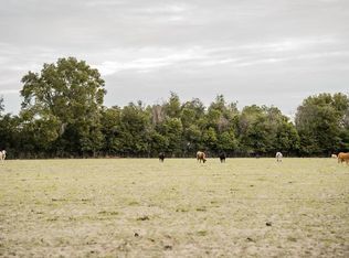 Lot 2 Not Named, Chiefland, FL 32626