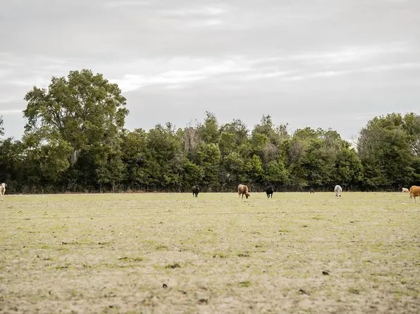 Lot 2 Country Hall Road, Chiefland, FL 32626