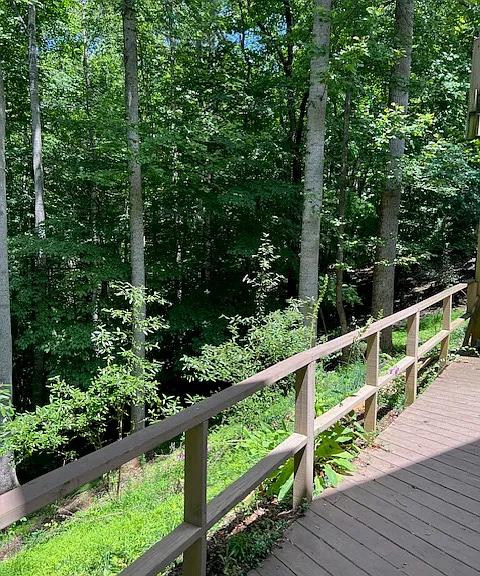 3609 Ridgecroft Dr — Photo 17