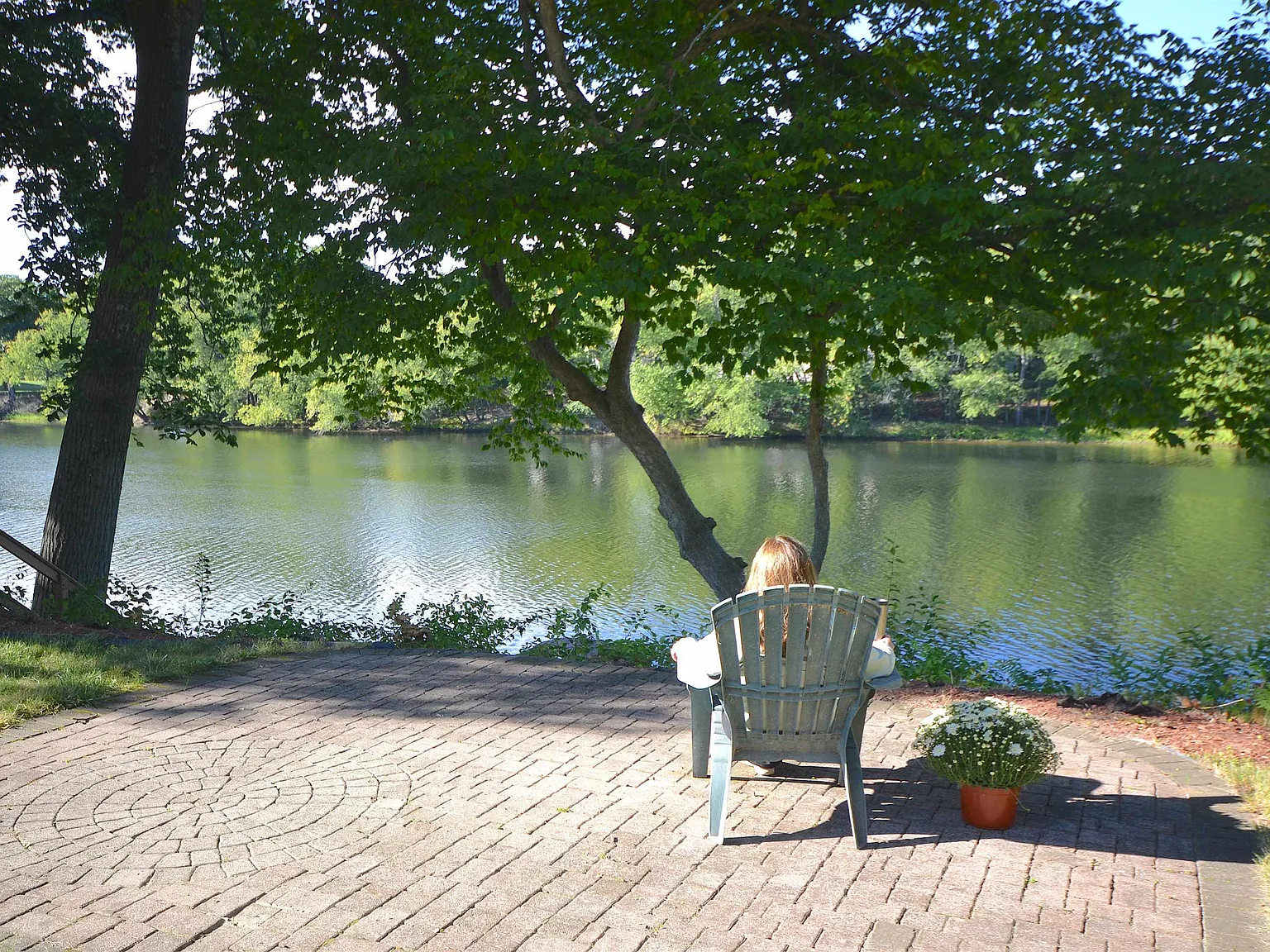 3 bed, 1.5 bath, 1572 sqft, $3,500 — Photo 4