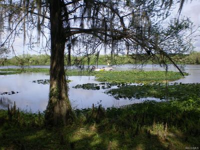 2638 W Cypress Dr, Dunnellon, FL, 34433