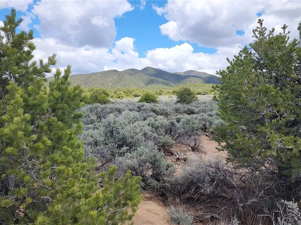 Lot 1319 Michaels Road, Fort Garland, CO 81133