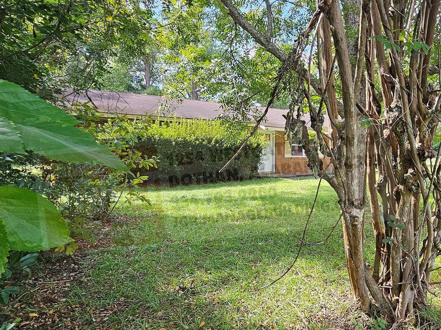 3309 Cathy Lou - Cathy Lou — Photo 3