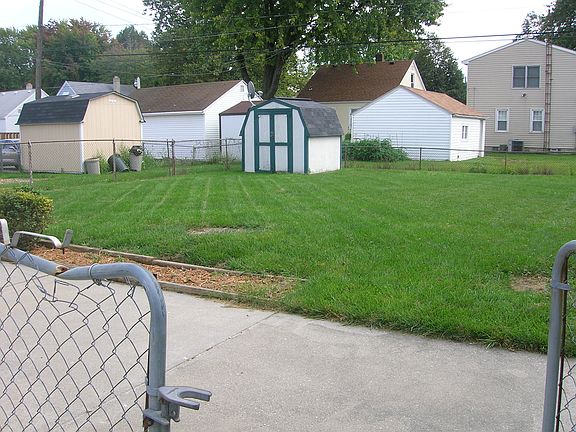 Back yard