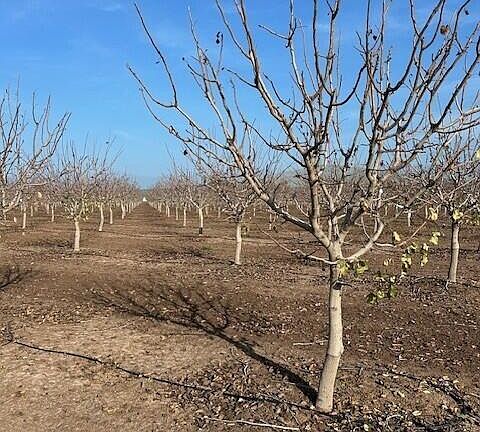 4th image of Ave 100