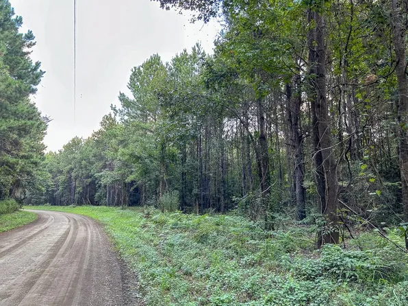 County Road 4700, Fred, TX 77616