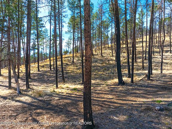 3rd image of 210 Deer Creek Rd