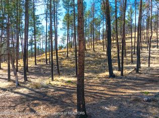 210 Deer Creek Rd, Ruidoso, NM 88345