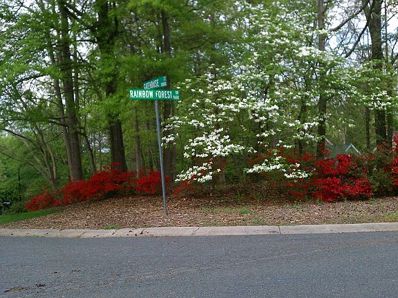over 100 azalea's/ Dogwoods