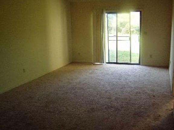 5th image of 202 Palomino Ln