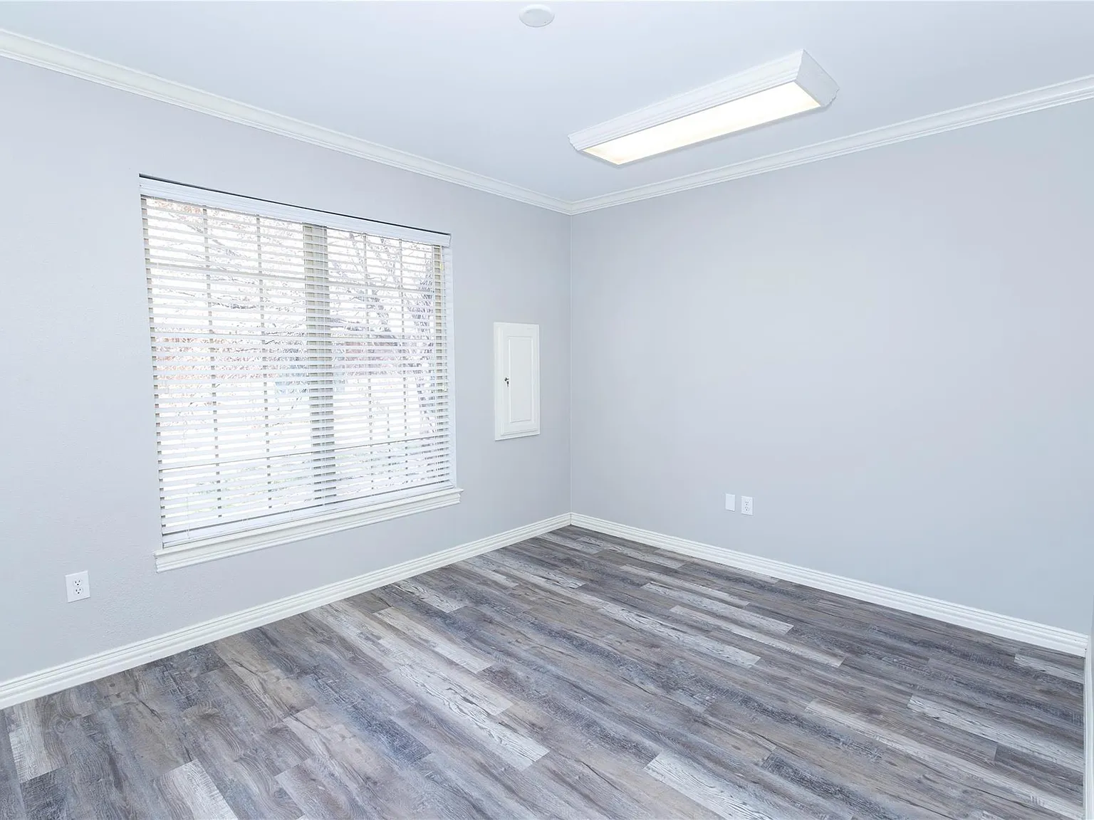 Studio, 1165 sqft, $1,995 — Photo 2