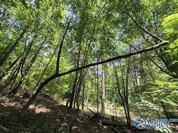 3rd image of 2 Cherokee County Rd #275