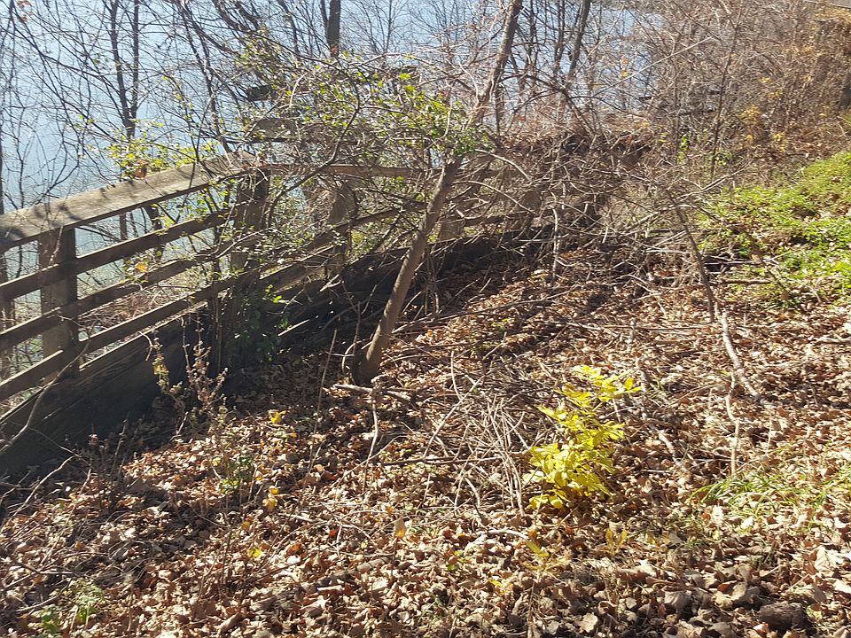 1st image of 405 Budd Lake Dr