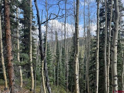 TBD Forest Service Road 554, Almont, CO, 81210