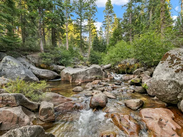61 Sciots Trac, Twin Bridges, CA 95735