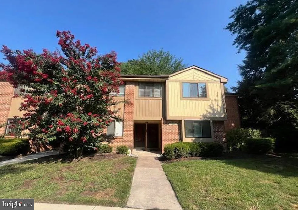 3 bed, 2.0 bath, 1314 sqft, $2,450 — Photo 4