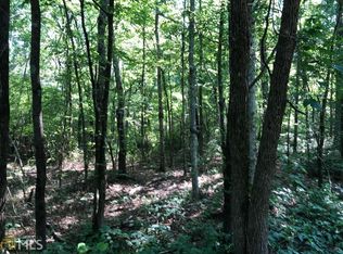 0 Shinall Gaines Rd, Cartersville, GA 30121