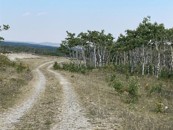 Nhn Arlie Tracts Lots #28/29, Babb, MT 59411