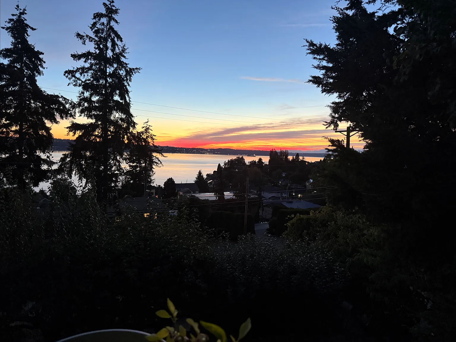2 bed, 1400 sqft, $2,650 — Photo 4