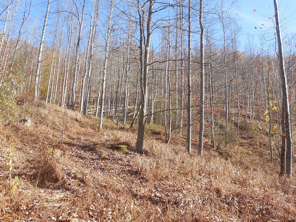 76th image of this home