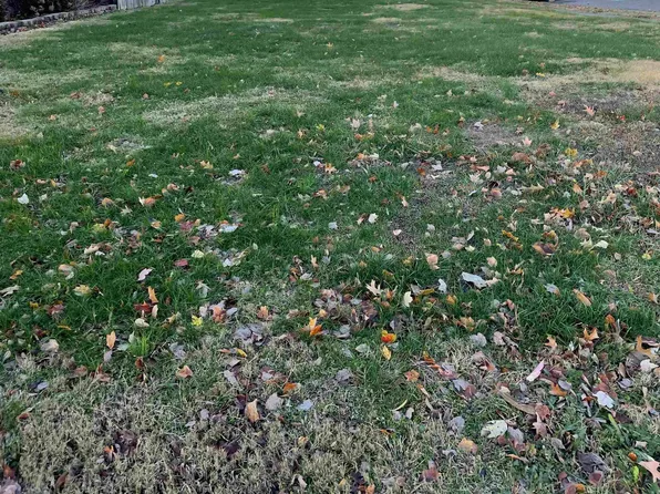 129 Fountain Ave, Paducah, KY 42001