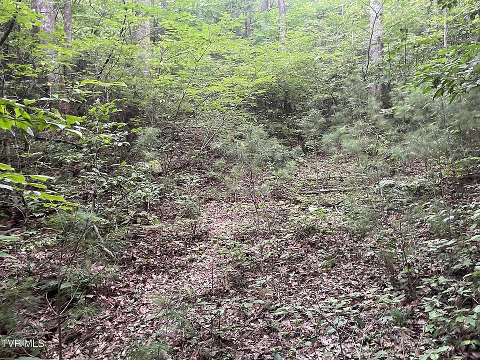 2nd image of 172 Carl Taylor Rd