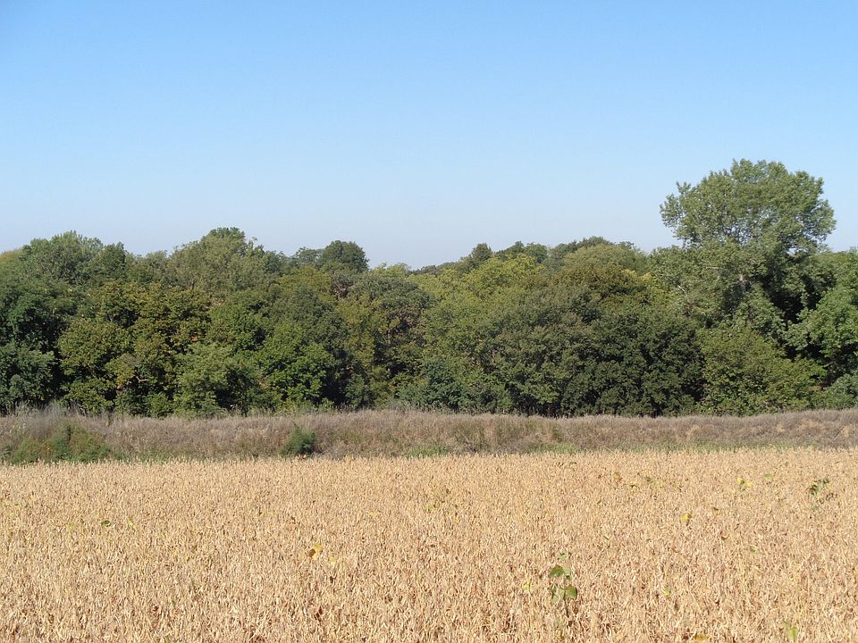 1st image of 2116 Ivanhoe Ln Lot 3
