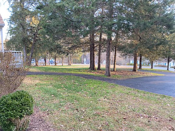 2nd image of 296 Morning Glory Rd