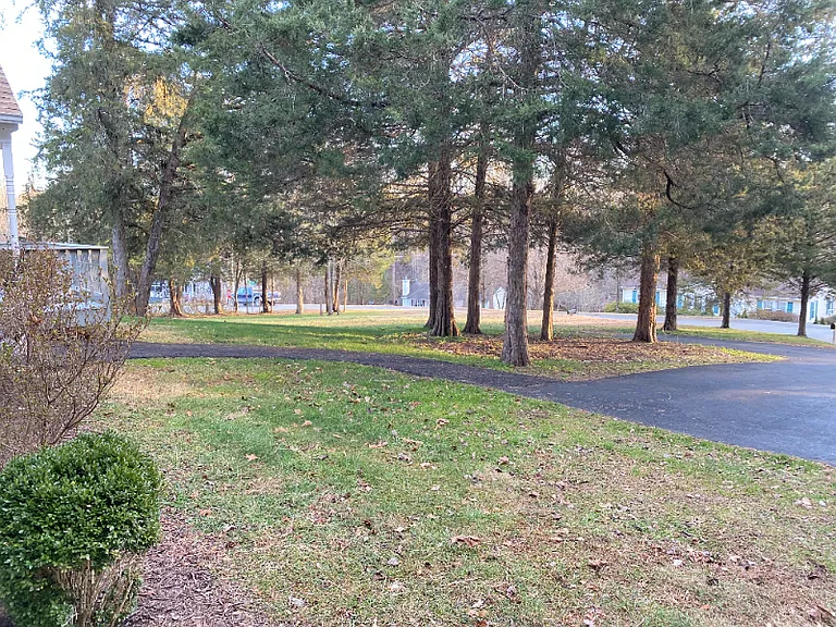 296 Morning Glory Rd — Photo 2