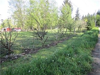 3rd image of 29800 12th Avenue Ct E