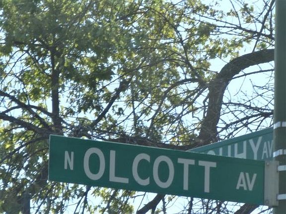 5th image of 7337 N Olcott Ave