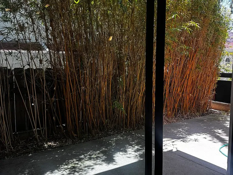 3684 Alabama St — Photo 3