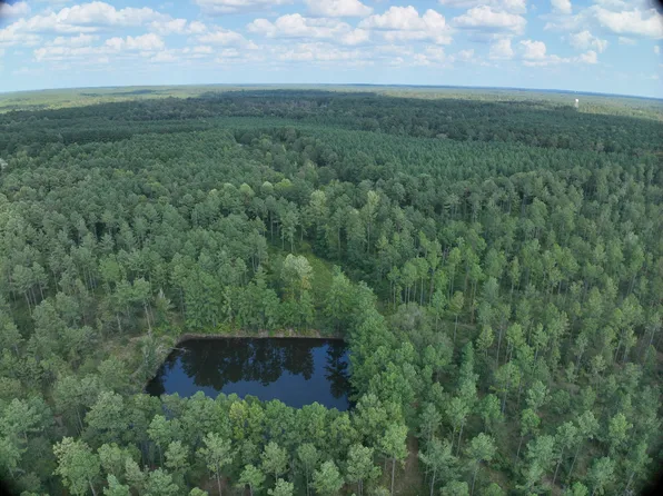 0 McNeese Rd, Columbia, MS 39429