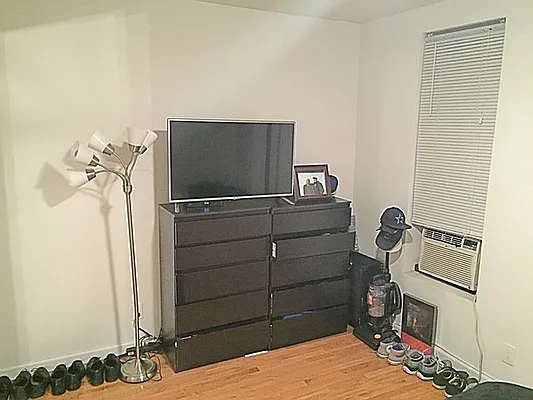 Rented by Rapid Realty Cobble Hill | media 34