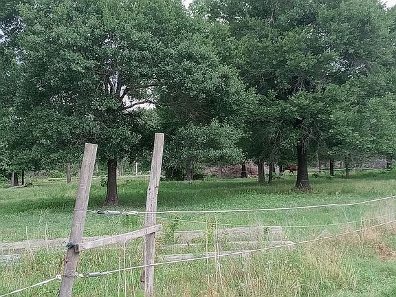 3rd image of 11823 County Road 302