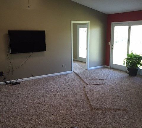 4th image of 317 New Paradise Ln