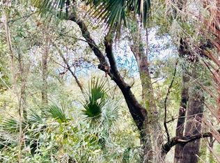 Tba Sw Loop Lot 17 #97, Dunnellon, FL 34432