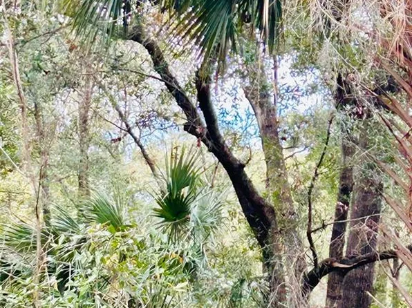 Tba Sw Loop Lot 17 #97, Dunnellon, FL 34432