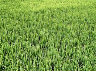 9220 Liberty Mills Rd, Fort Wayne, IN 46804