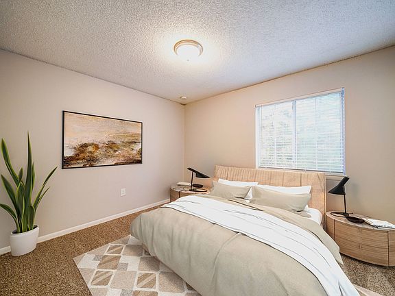 5th image of 1901 Falcon Pointe Dr #16906237